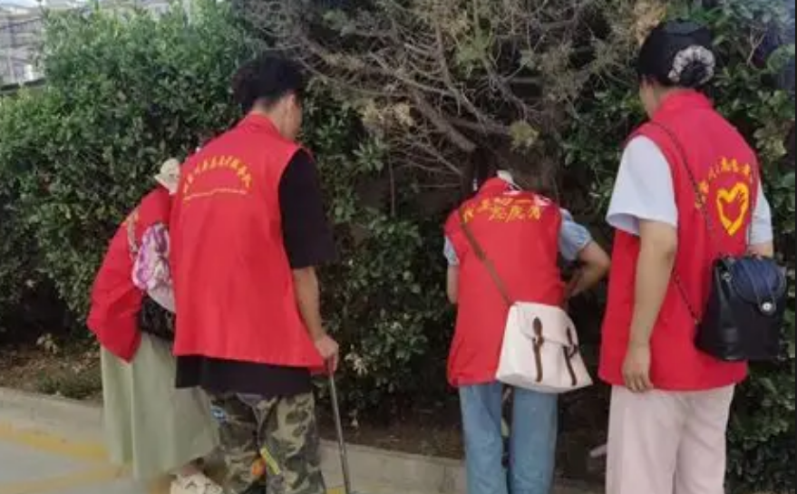 辽宁农业职业技术学院学子周凯开展社会实践 以果蔬种植技能助力农户增收